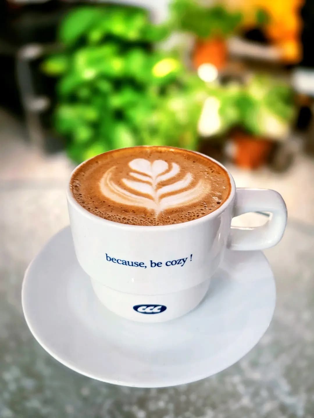 Cozy Cream Corner photo 2