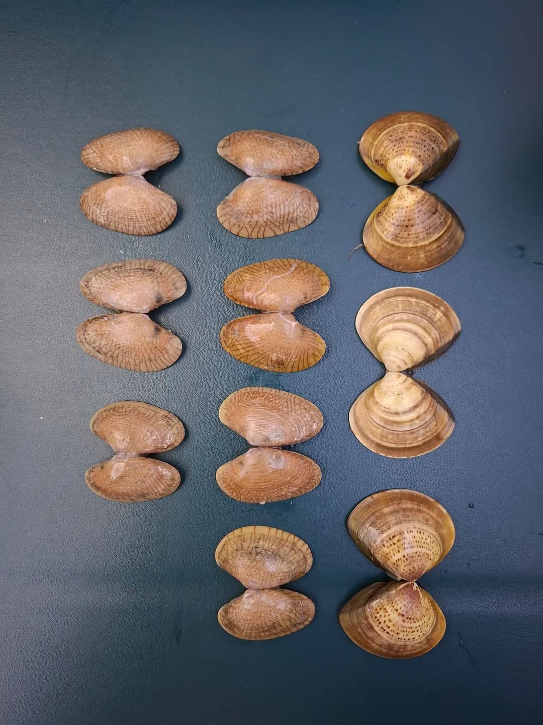 麵掂 photo 2