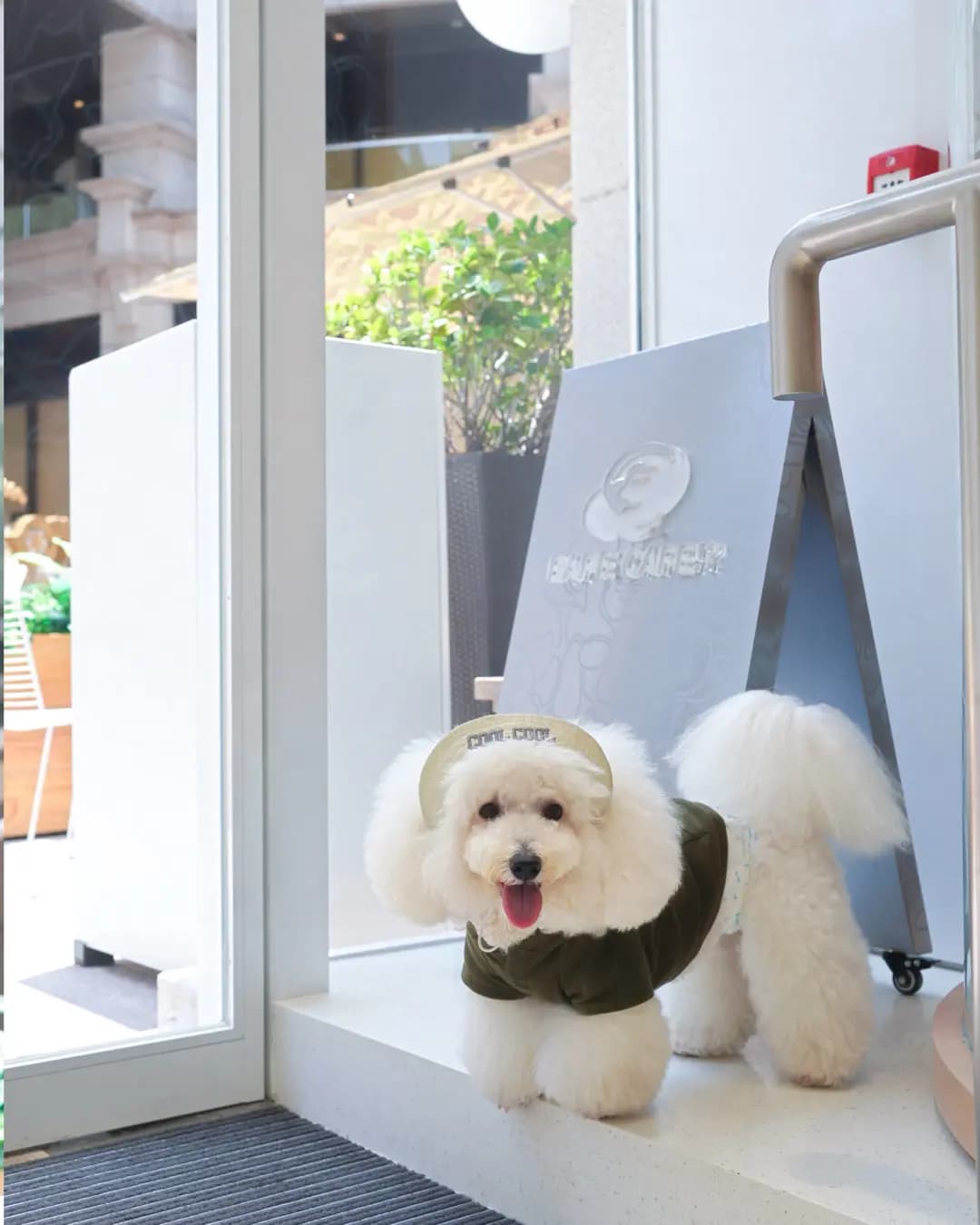 BAPE Café!? Produced by Flipper's photo 5