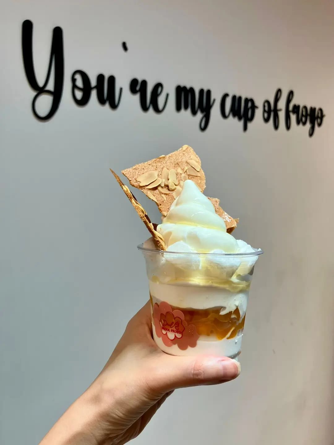 Drool froyo photo 6
